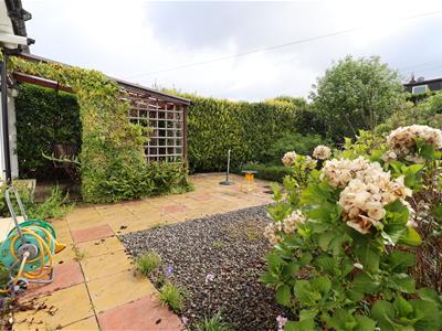 Picture 20